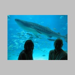 25 10 m pod woda.html